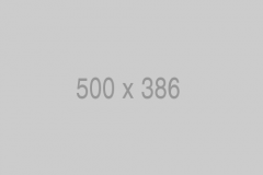 500x386 500x386